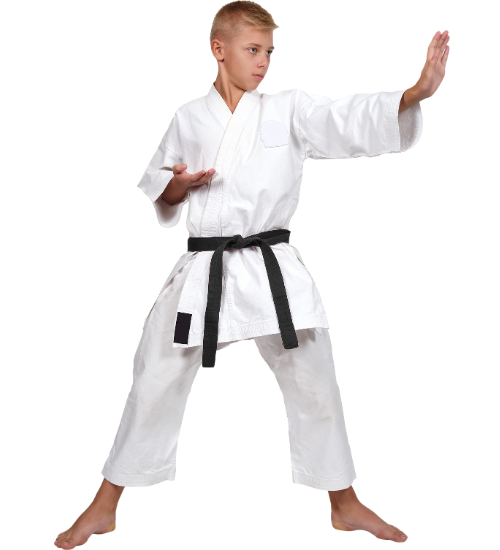 imagen home artsport